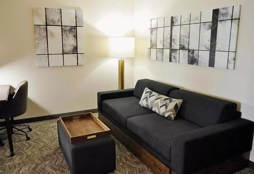 هتل Springhill Suites Houston Katy Mills