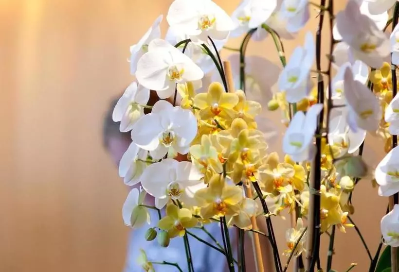 M53 Motel Imlay City