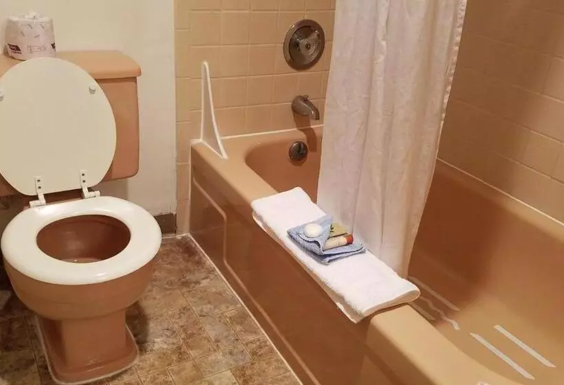 Мотель Royal Motor Inn