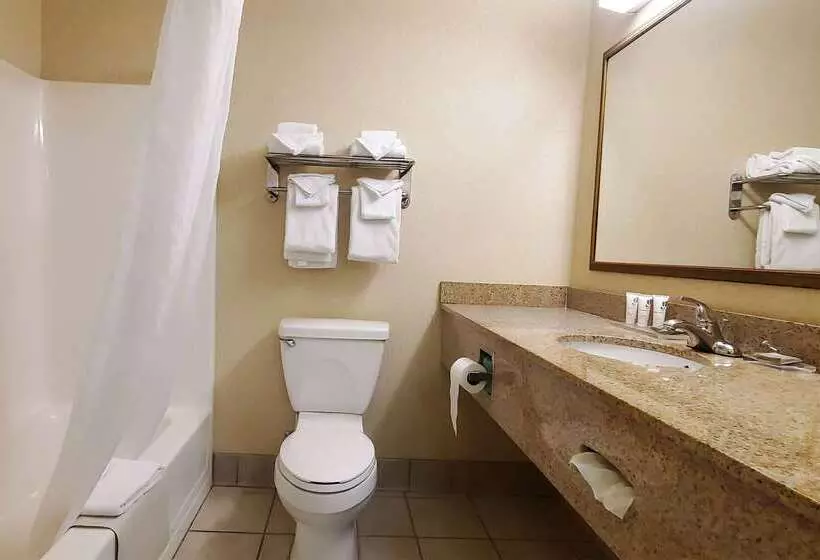 Wingate By Wyndham Youngstown   Austintown