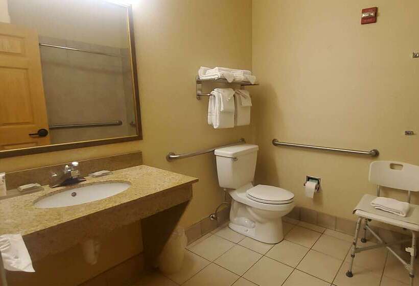 Wingate By Wyndham Youngstown   Austintown