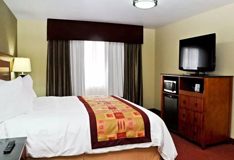 酒店 Best Western Plus Layton Park