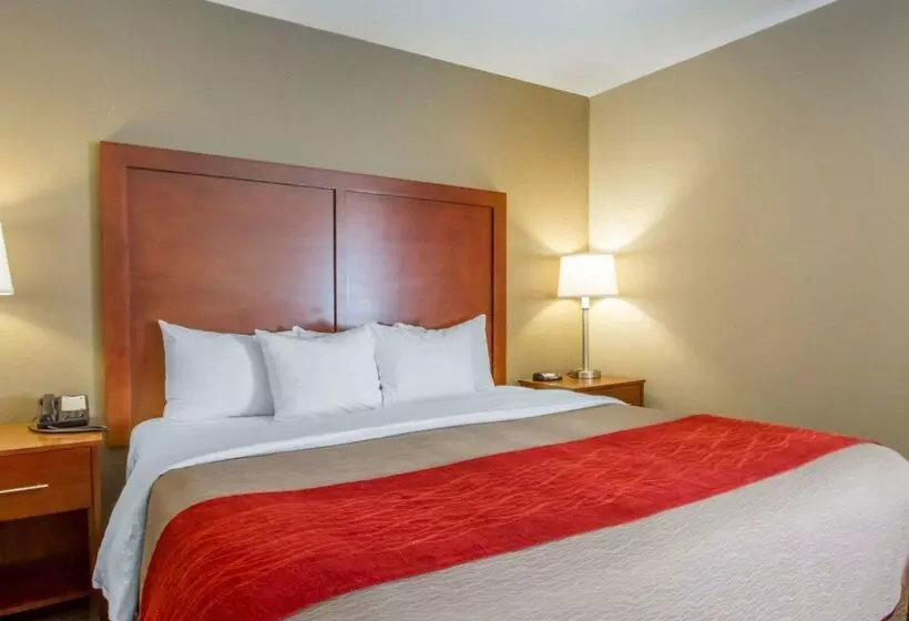 Отель Comfort Inn Bolivar