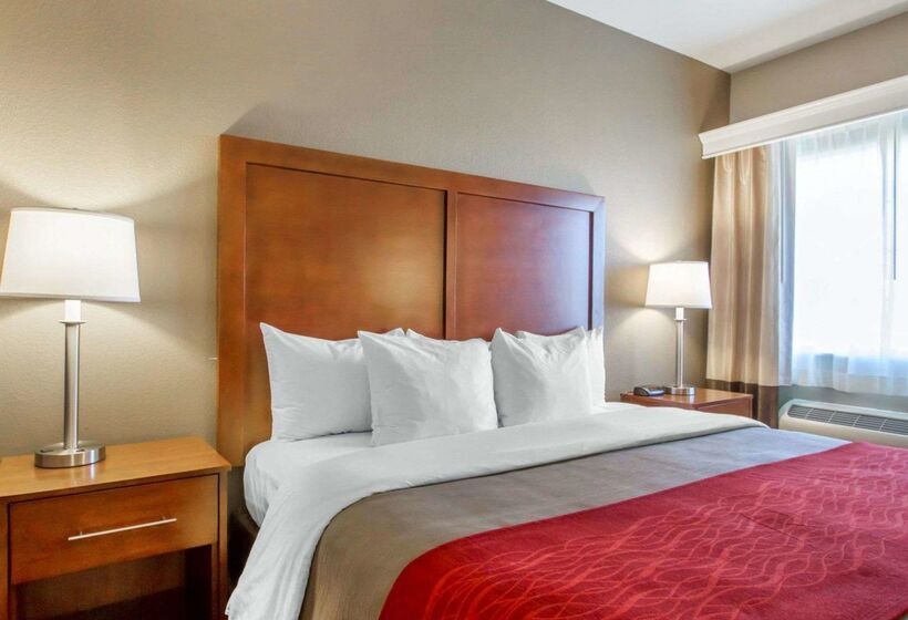 فندق Comfort Inn Bolivar