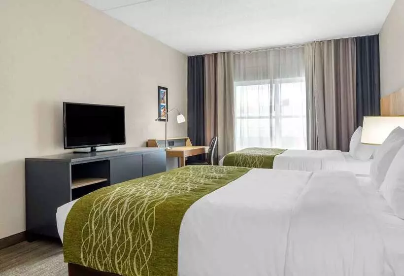 ホテル Comfort Inn & Suites Calhoun South