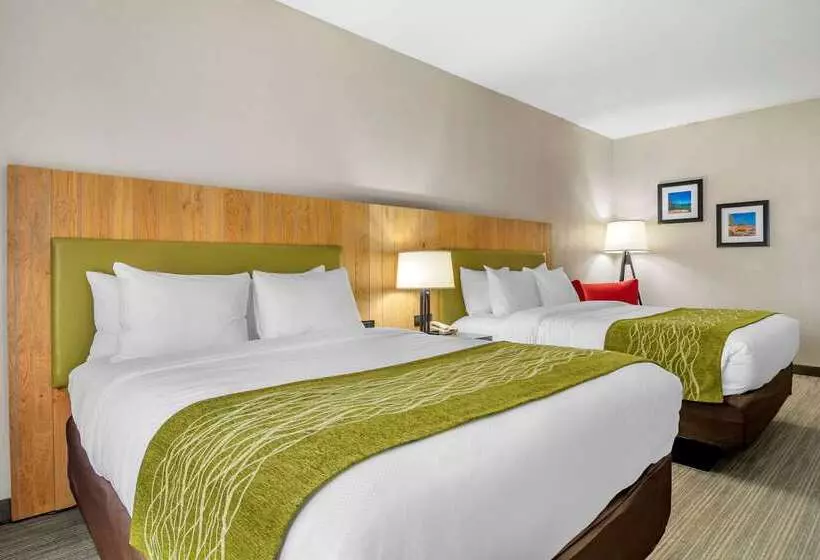 ホテル Comfort Inn & Suites Calhoun South