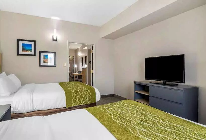 ホテル Comfort Inn & Suites Calhoun South