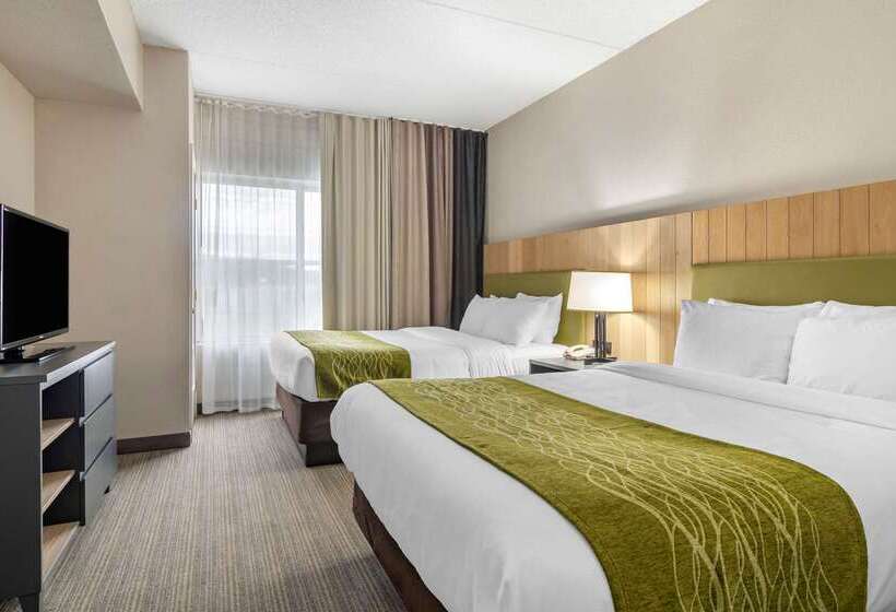 Szálloda Comfort Inn & Suites Calhoun South