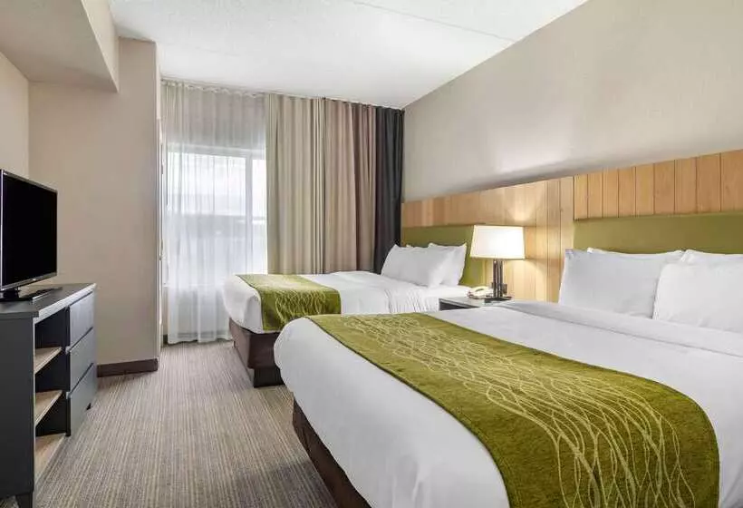 ホテル Comfort Inn & Suites Calhoun South