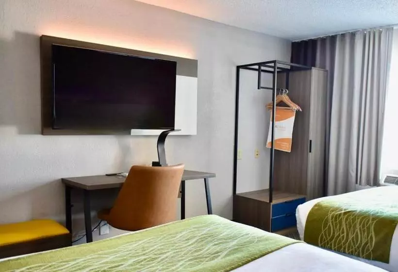 ホテル Comfort Inn & Suites Calhoun South