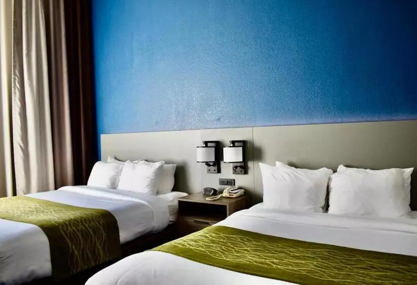ホテル Comfort Inn & Suites Calhoun South