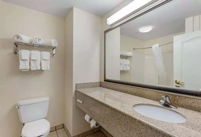 ホテル Comfort Inn & Suites