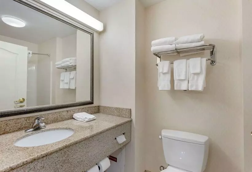 ホテル Comfort Inn & Suites