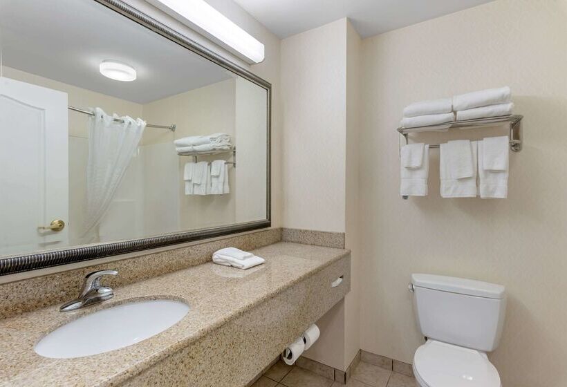 فندق Comfort Inn & Suites