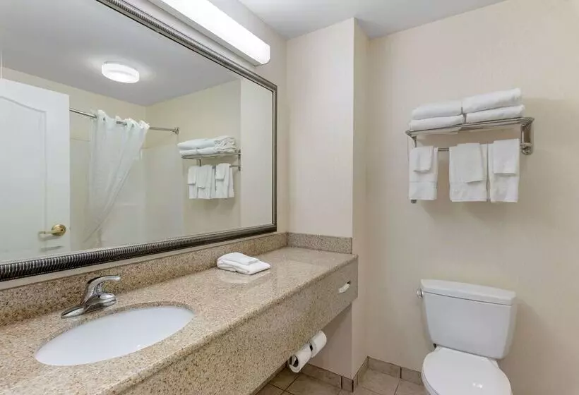 ホテル Comfort Inn & Suites