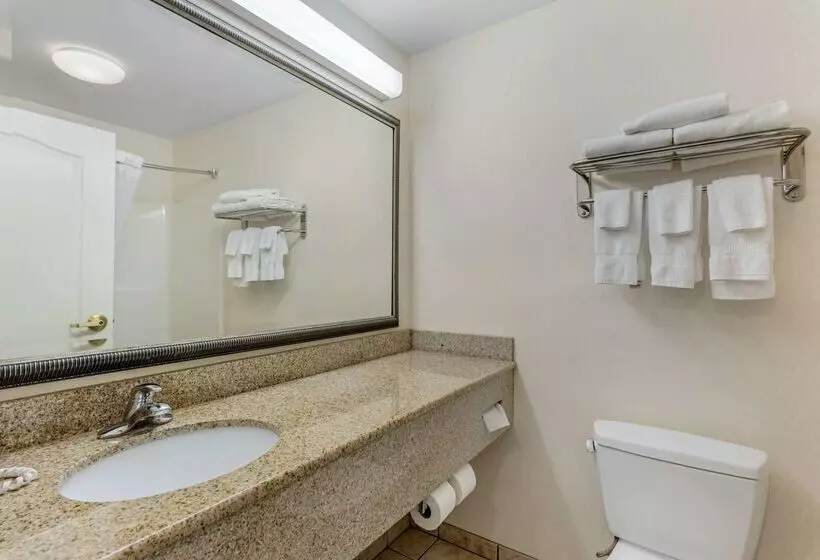 ホテル Comfort Inn & Suites