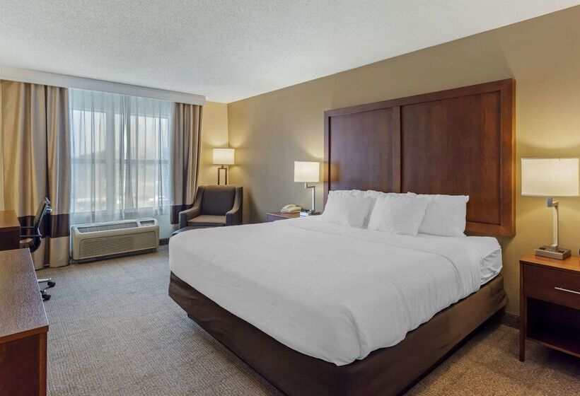 فندق Comfort Inn & Suites