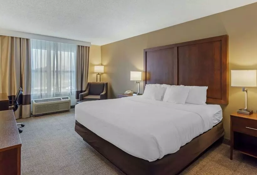 ホテル Comfort Inn & Suites