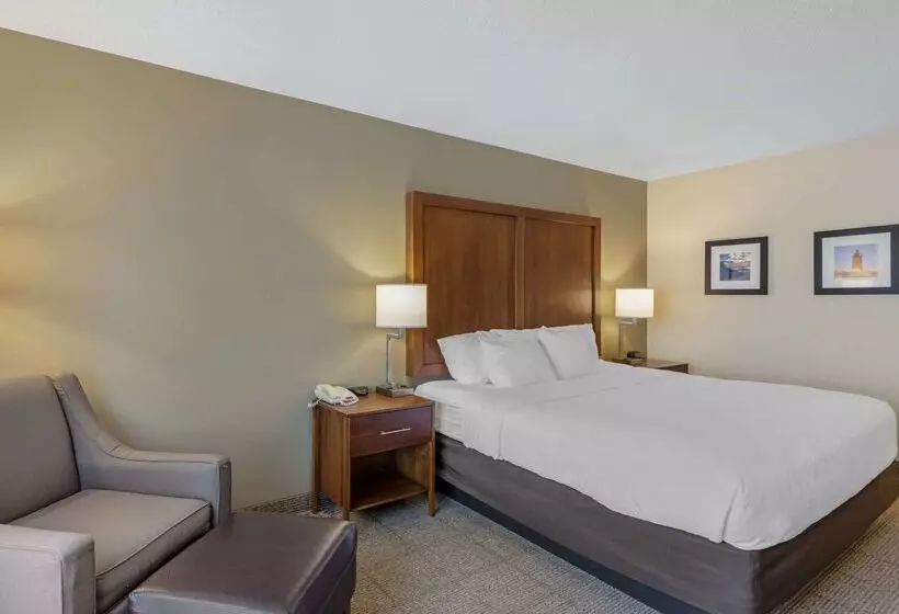 ホテル Comfort Inn & Suites