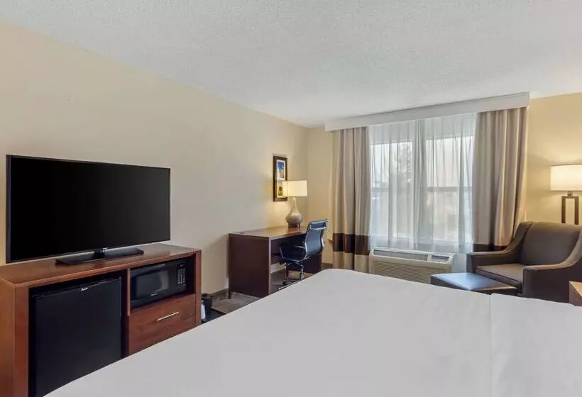 ホテル Comfort Inn & Suites