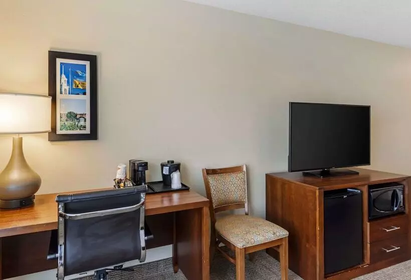 ホテル Comfort Inn & Suites