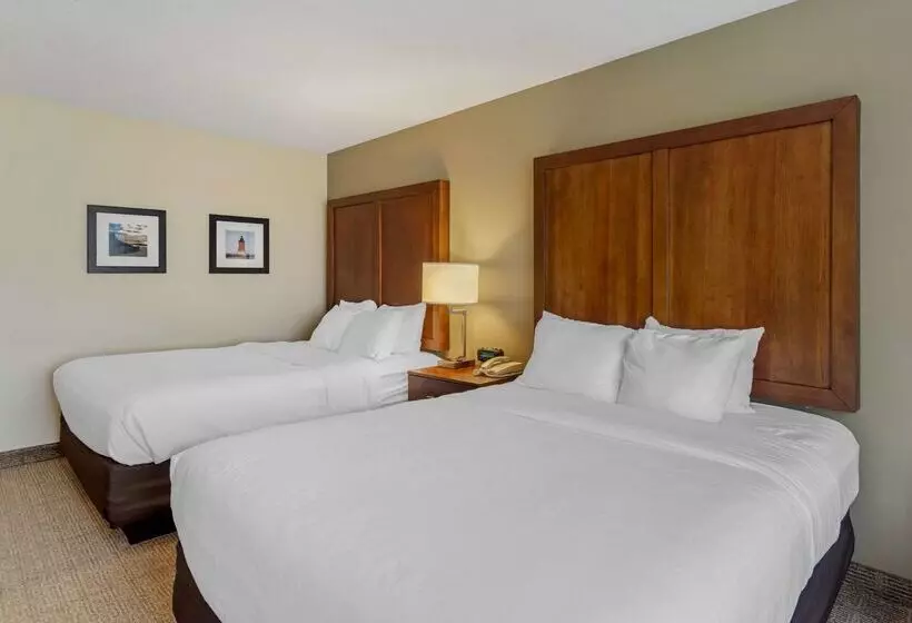 ホテル Comfort Inn & Suites