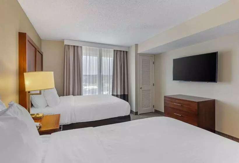 ホテル Comfort Inn & Suites