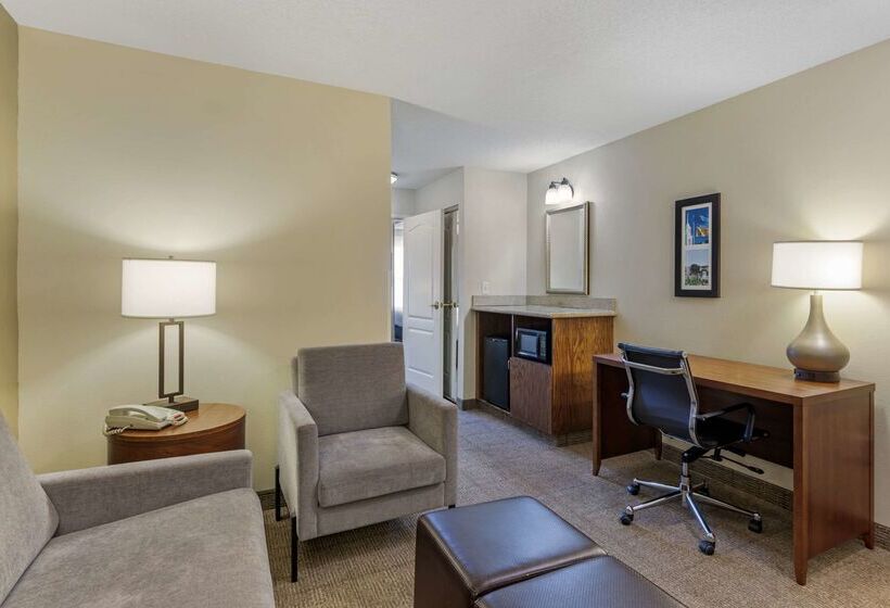 فندق Comfort Inn & Suites