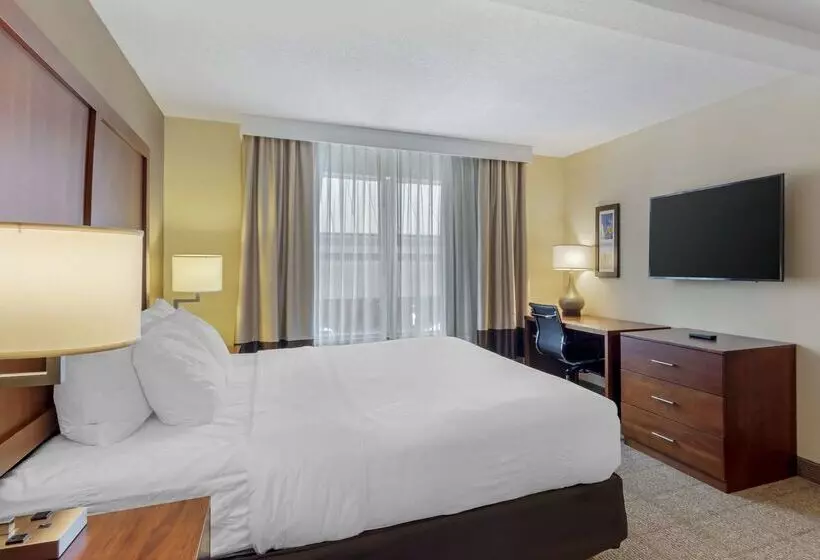 ホテル Comfort Inn & Suites