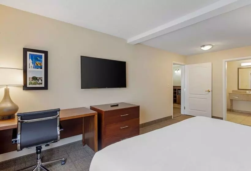 ホテル Comfort Inn & Suites