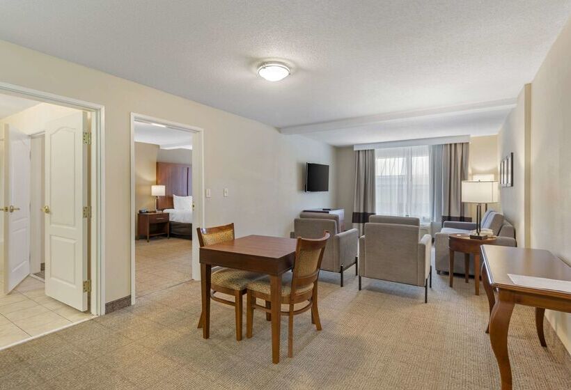 فندق Comfort Inn & Suites