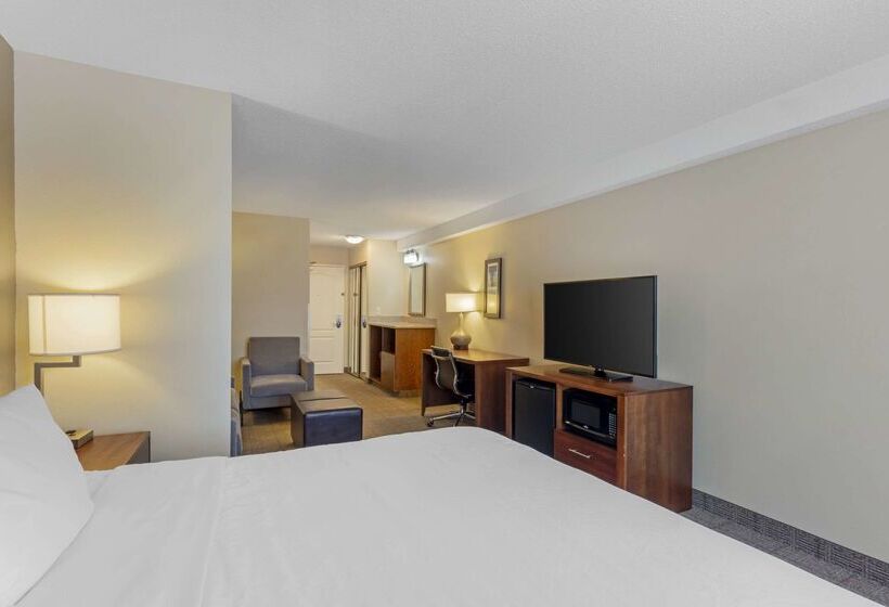 فندق Comfort Inn & Suites