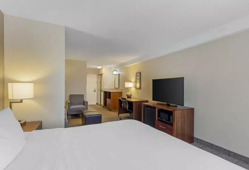 ホテル Comfort Inn & Suites