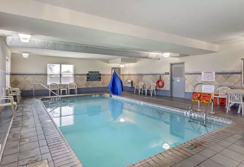ホテル Comfort Inn & Suites