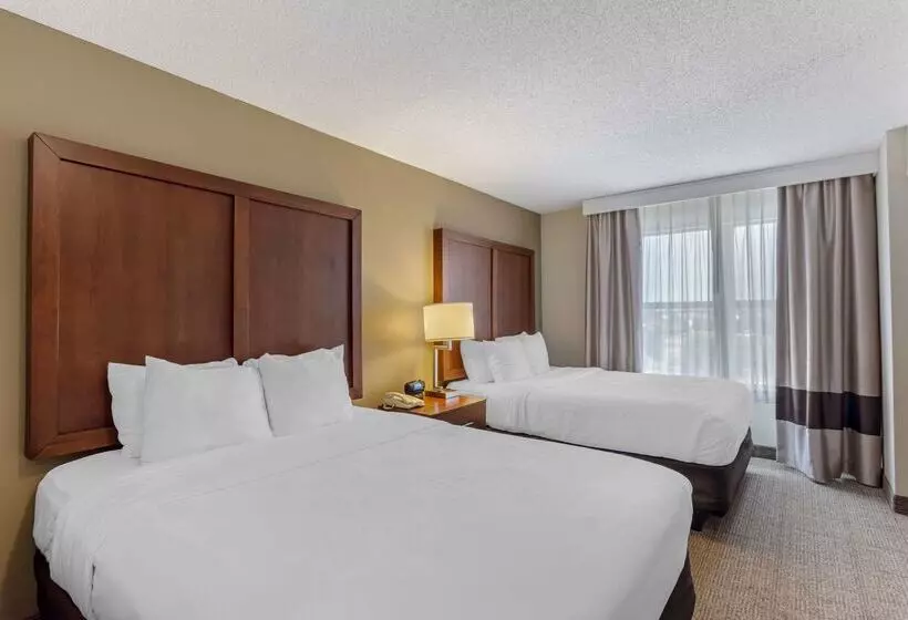 ホテル Comfort Inn & Suites