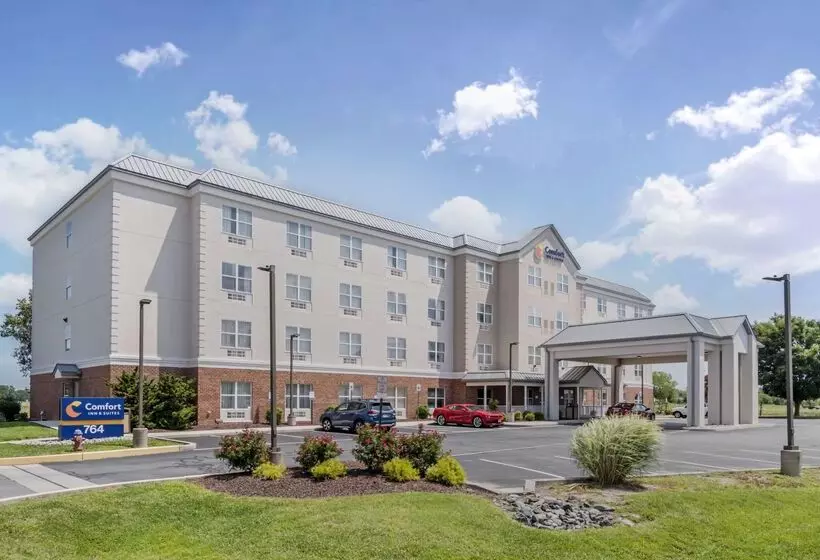 ホテル Comfort Inn & Suites