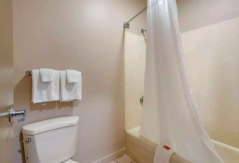 ホテル Econo Lodge  Inn & Suites