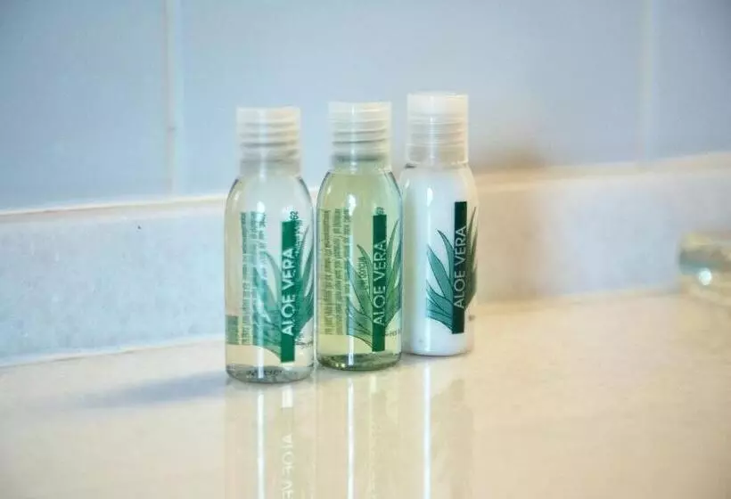 酒店 Emblemático San Agustin