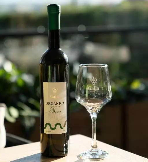 בית מלון כפרי Grand