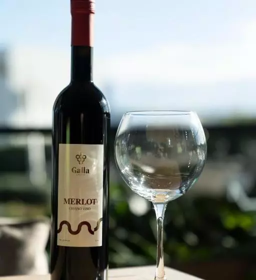 בית מלון כפרי Grand