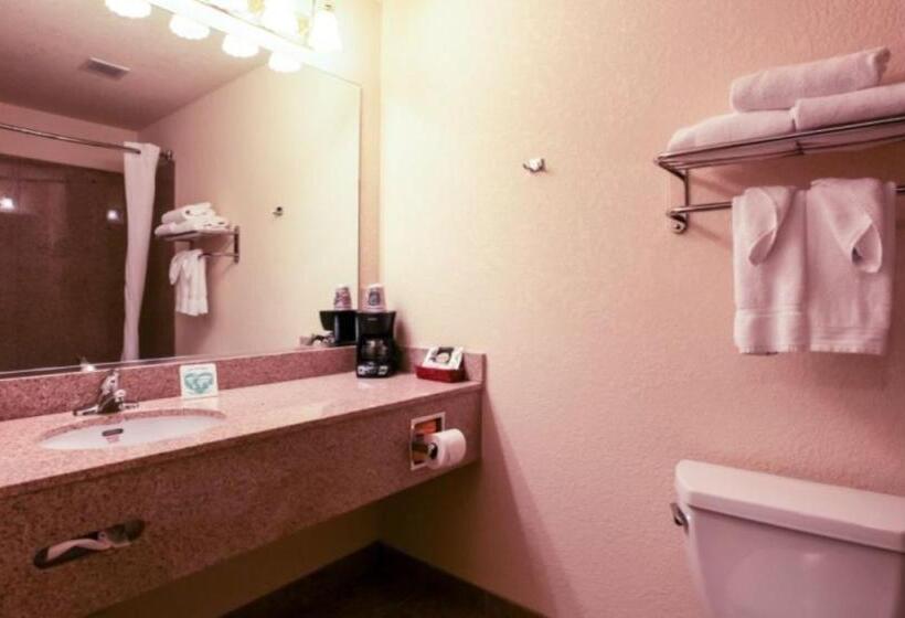 ホテル Mountain Inn & Suites Airport Hendersonville