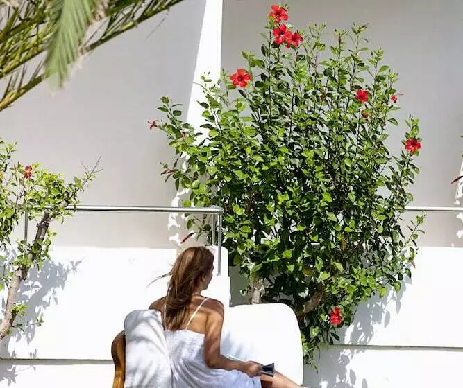 酒店 Mrs Chryssana Beach