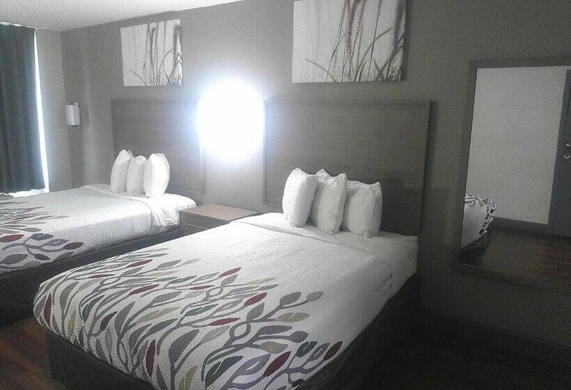 فندق Red Roof Inn Richmond   Airport Sandston