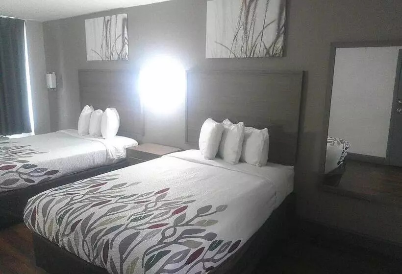 בית מלון כפרי Red Roof Inn Richmond Airport Sandston