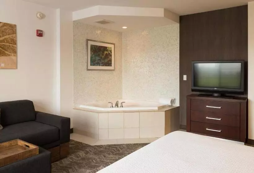 酒店 Springhill Suites Quakertown Pennsylvania