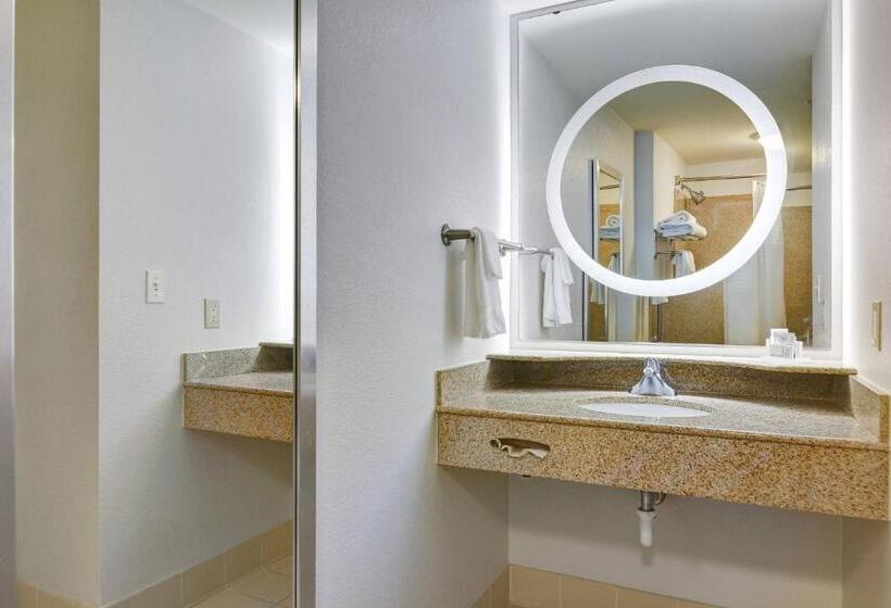 酒店 Springhill Suites Shreveportbossier City/louisiana Downs