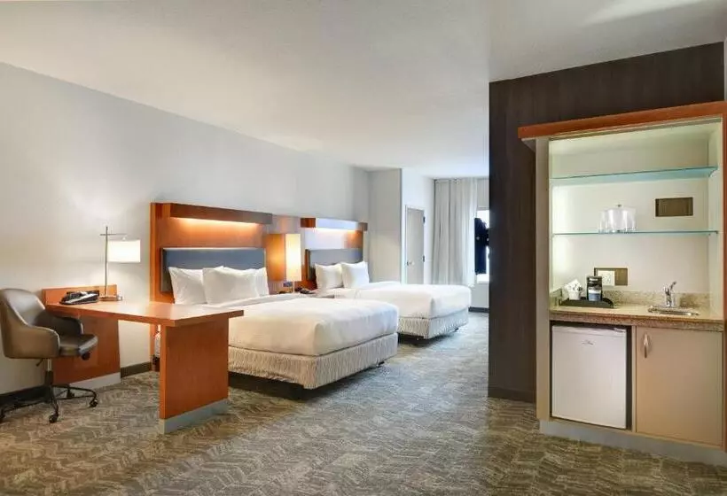 ホテル Springhill Suites Shreveportbossier City/louisiana Downs