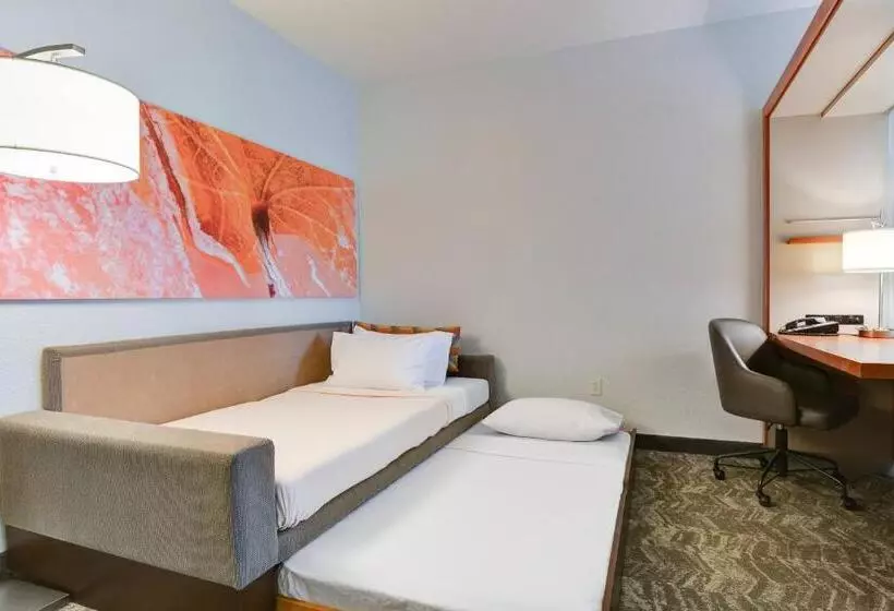 ホテル Springhill Suites Shreveportbossier City/louisiana Downs