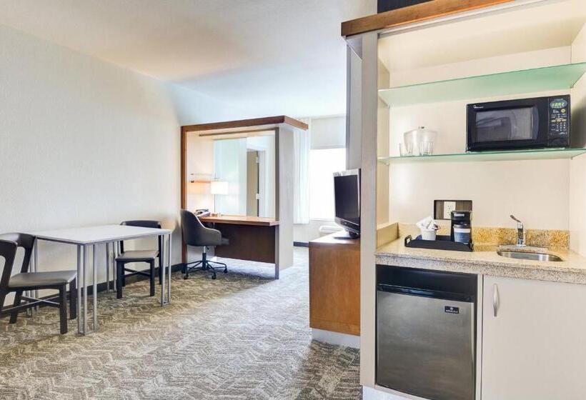 酒店 Springhill Suites Shreveportbossier City/louisiana Downs