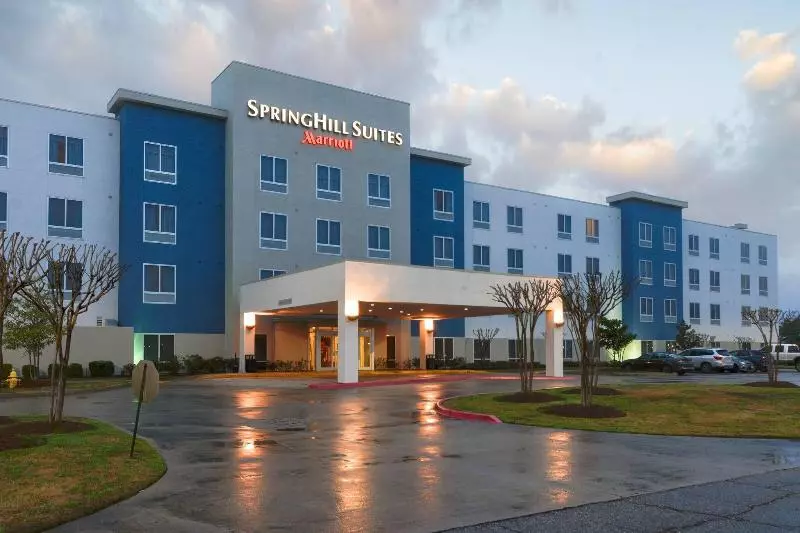 ホテル Springhill Suites Shreveportbossier City/louisiana Downs